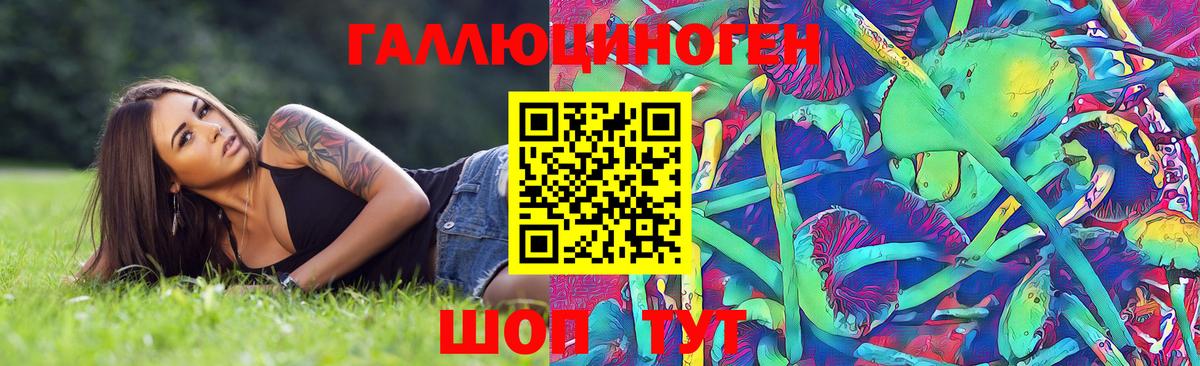 Псилоцибиновые грибы Cubensis Дубна