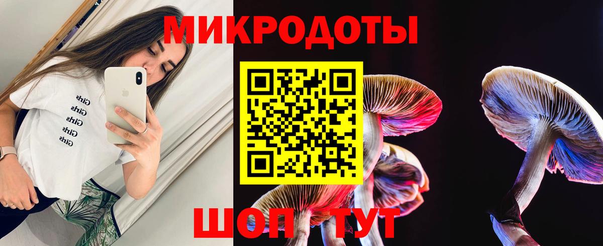 Дубна  Псилоцибиновые грибы GOLDEN TEACHER  купить наркоту  Вход с VPN 